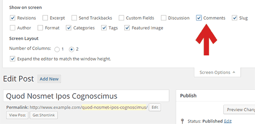 Showing comments on the post edit screen Showing comments on the post edit screen