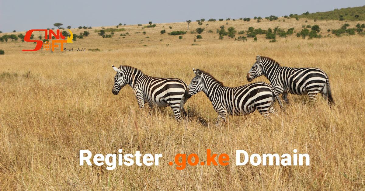 register .go.ke domain