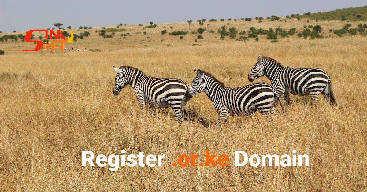 register .or.ke domain