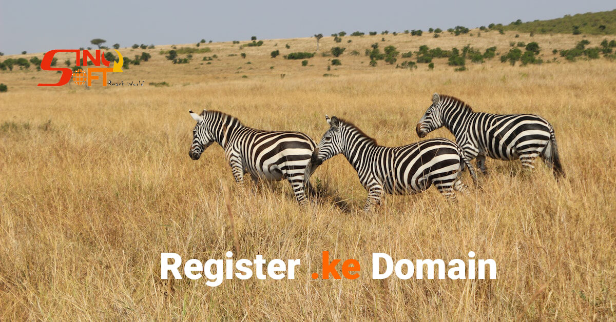 register .ke domain