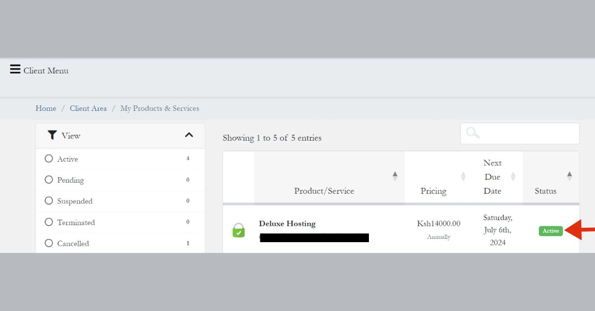 choosing active domain in client area