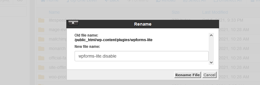 Rename plugins folder in filemanager