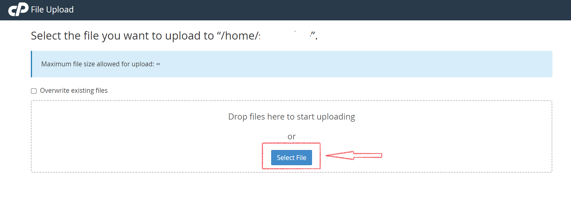 Select your website files
