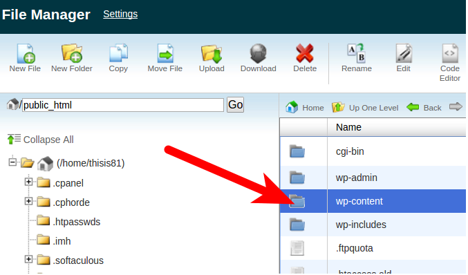 Open WP-Content folder